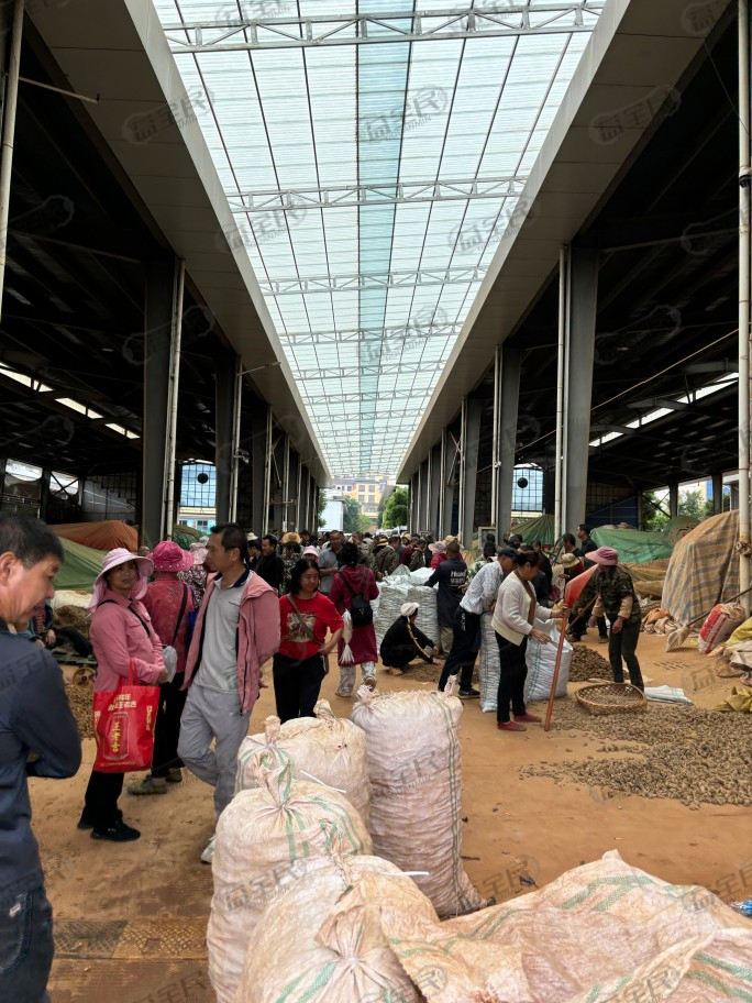 43315ff1-b4e0-4f10-bd7c-fb24587f867e