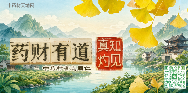 2026版-药财有道