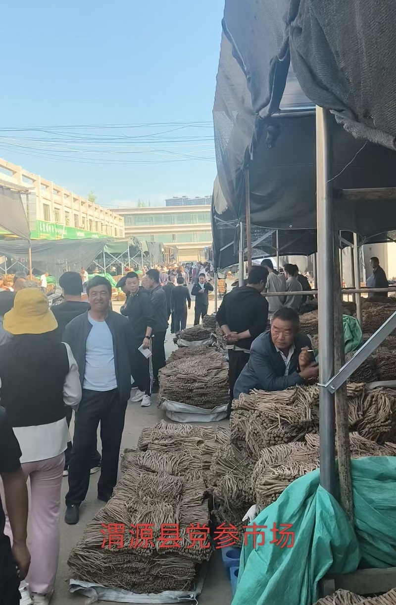 微信图片_20260819084042_22_204