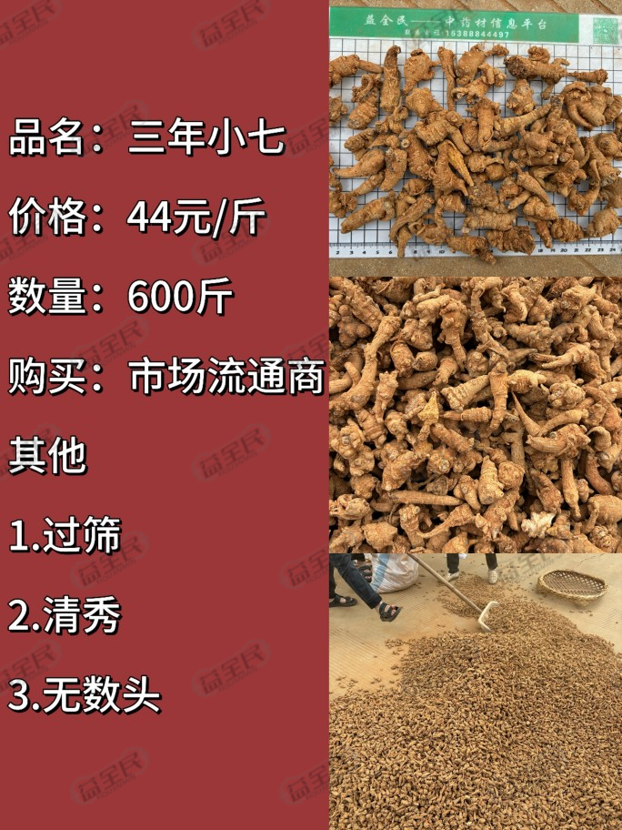 7272ed4e-1389-462d-a0d8-9677f2187360