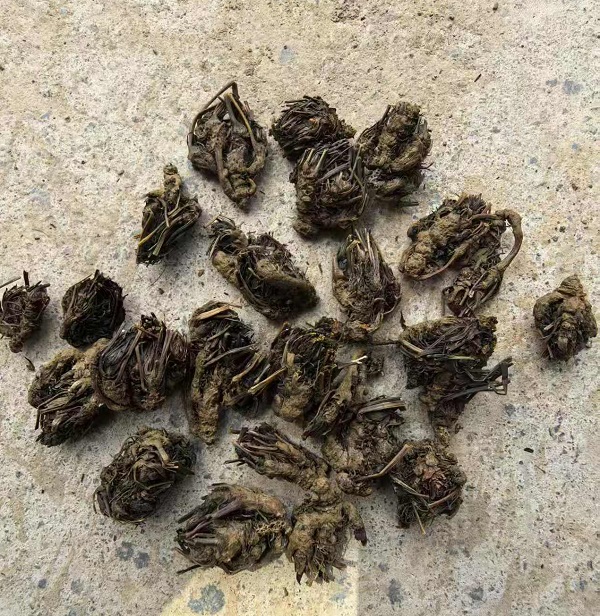 微信图片_20260914135916_270_137