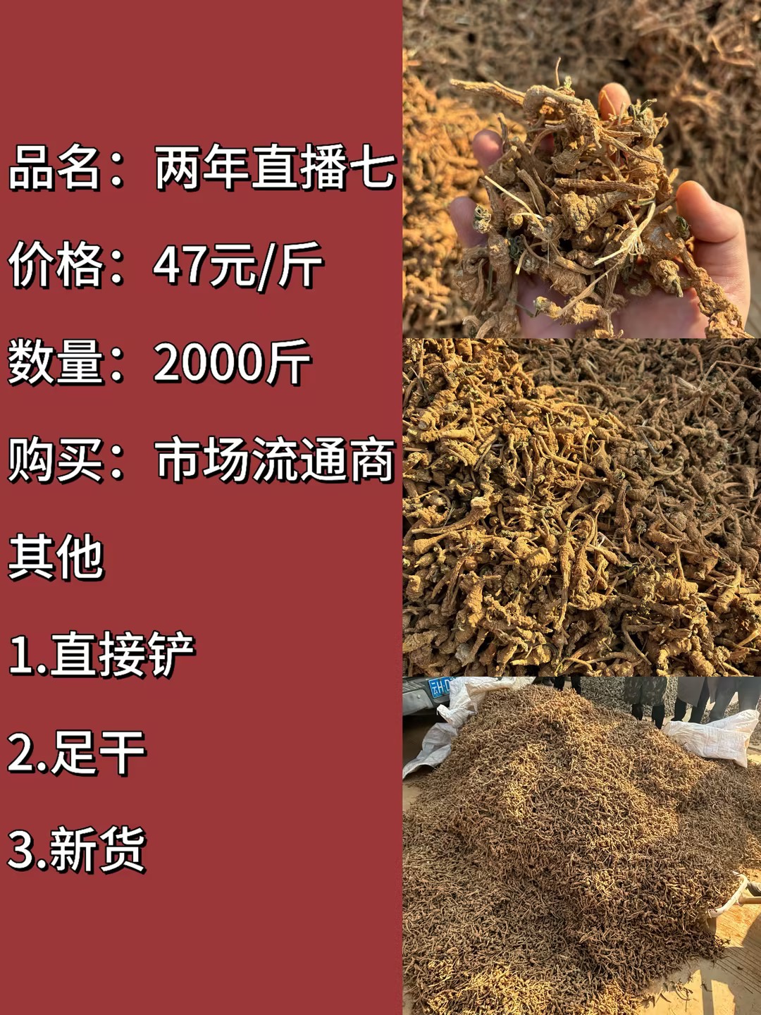 13eed312-ca1b-4b88-86f3-20c7a9bdc2dd