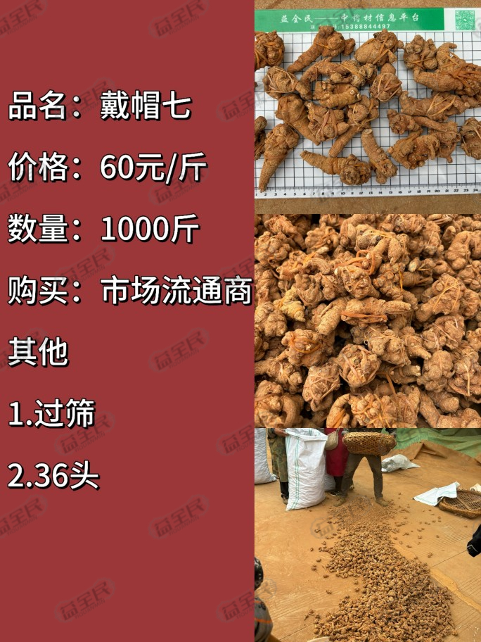 9139eb02-a27c-4a70-9834-817d5bf33345