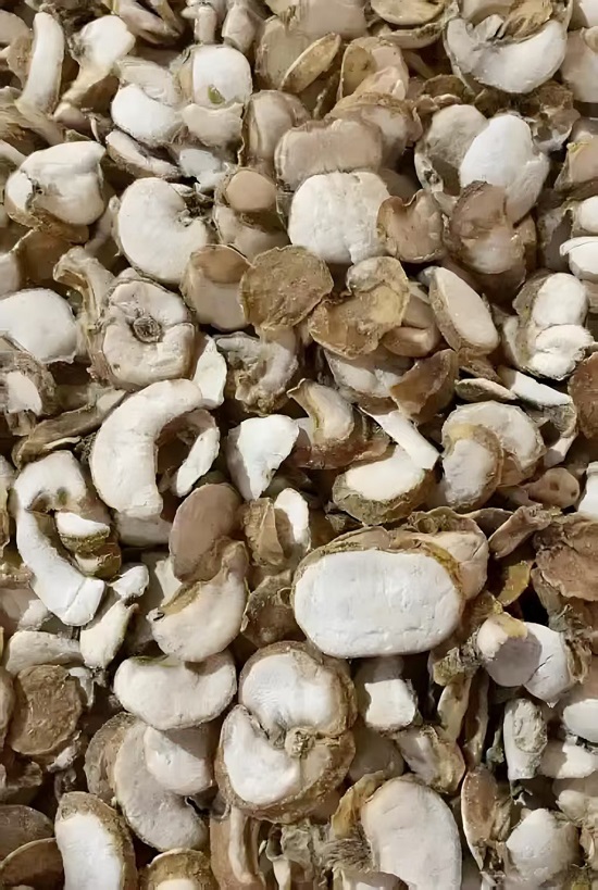 微信图片_20251218153700_783_172