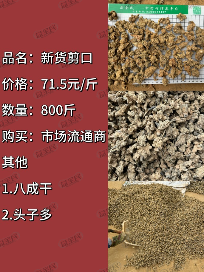 e97338b4-1cbd-4c04-8f6e-27b0b29f3a97