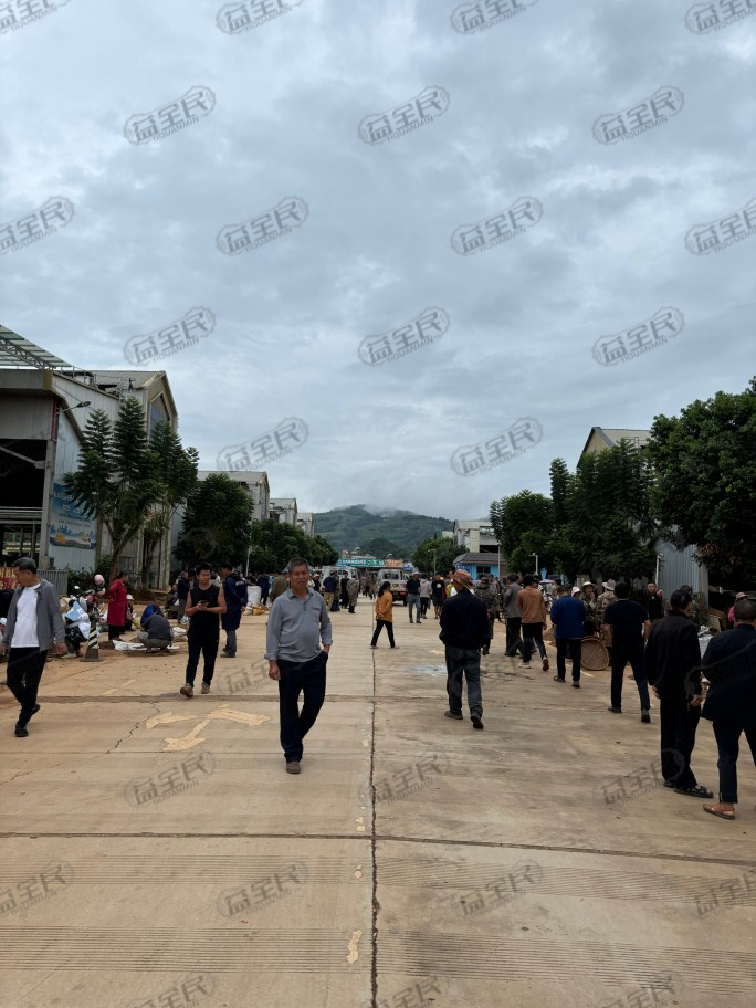 5a143b98-4ba8-4c19-9d8e-6406ec8fa897