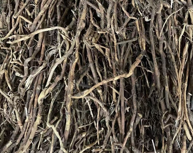 北豆根