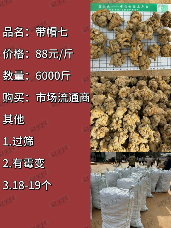 7ffbf0b5-7be5-4796-af56-95a3a1355e7c