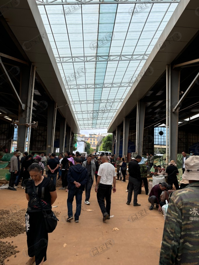 45329a87-616a-4707-899c-3f548cd6c19d