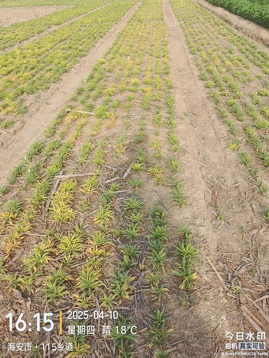 微信图片_20251218154340_789_172