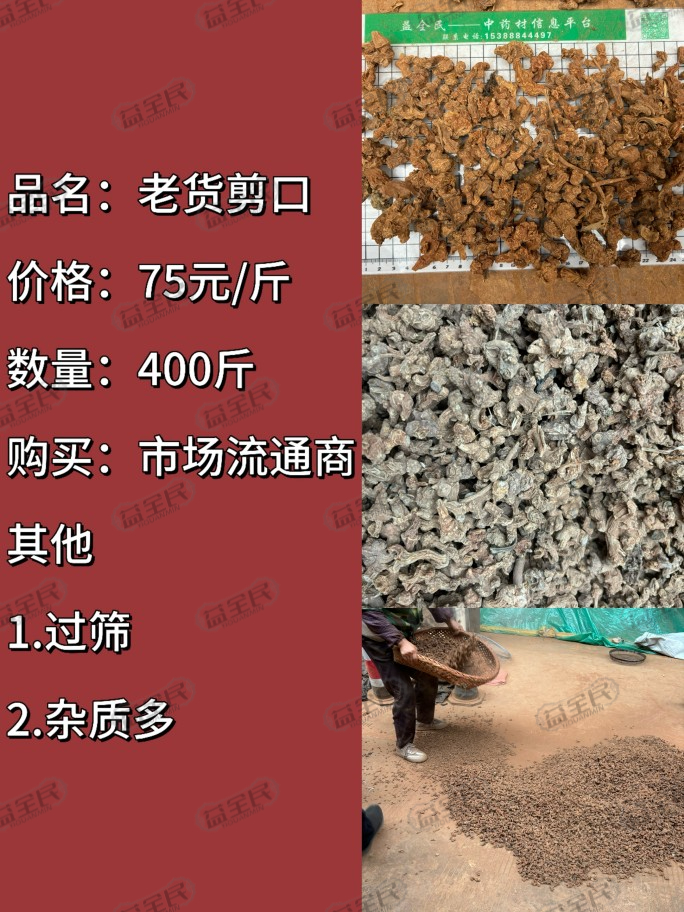 f26e9d18-2fd7-4f21-a12c-26e923202b3b