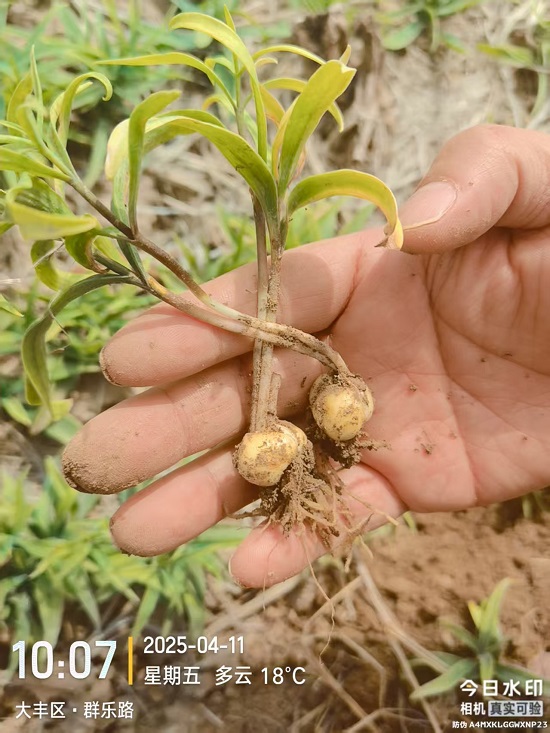 微信图片_20251218154339_788_172