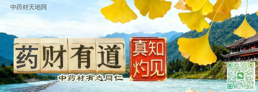 OK版