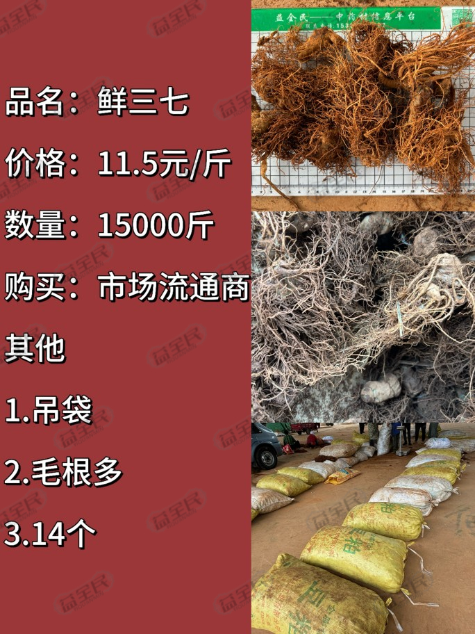 bead85dc-eafd-48df-ae1f-3f993110455f