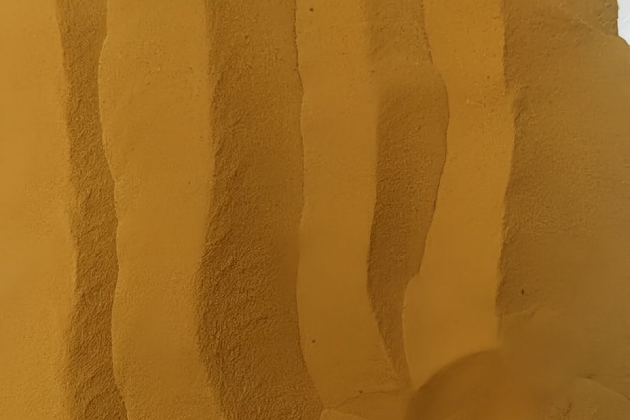 pic1