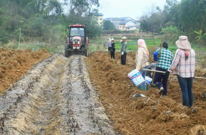 wechat_2026-02-12_100058_665