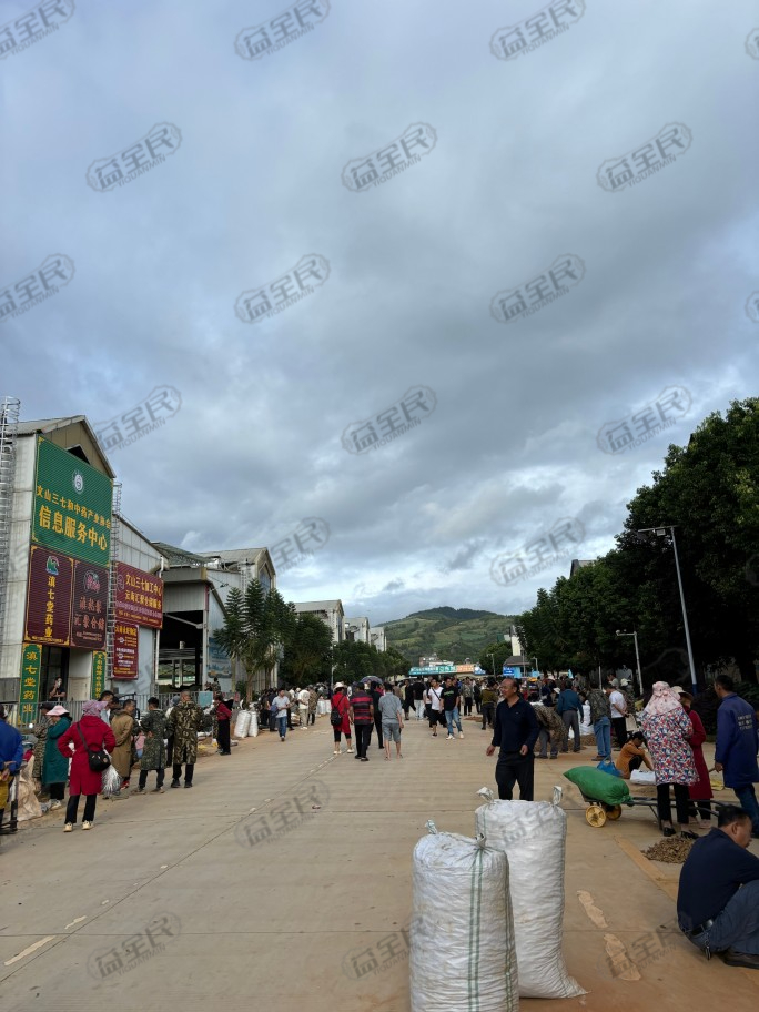 ce45f328-1459-4e8c-847e-c2c3404154a3