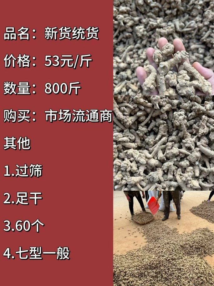 19edb51c67d7a8927b5b8ed9c0d6c133