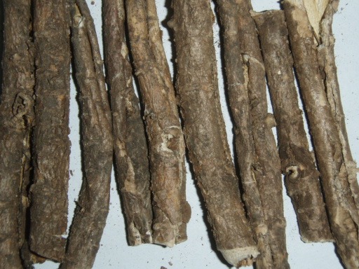 pic1