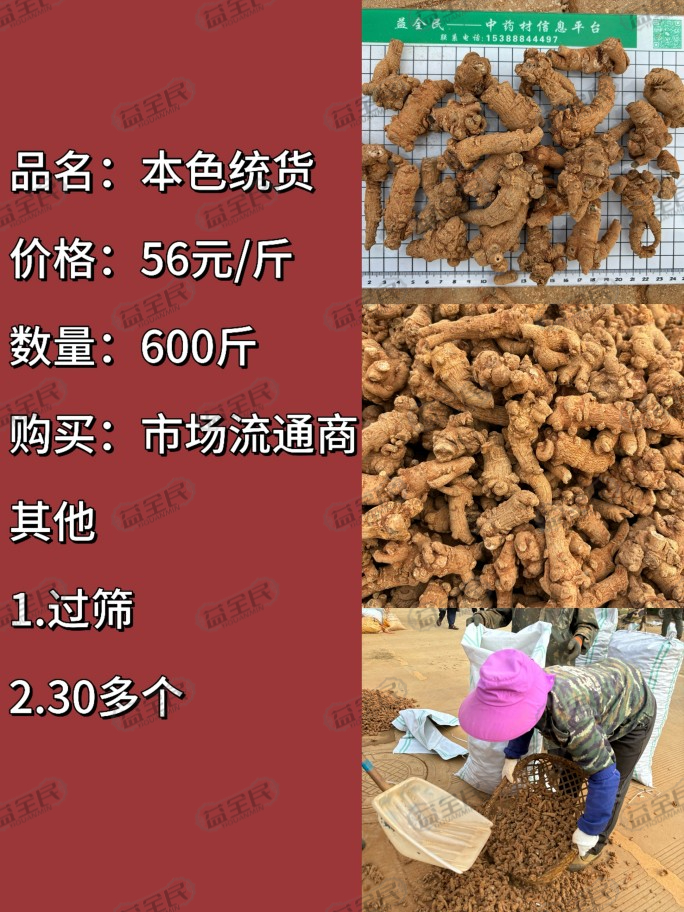 b1638efd-4e4b-4923-b845-aa818bb2070d
