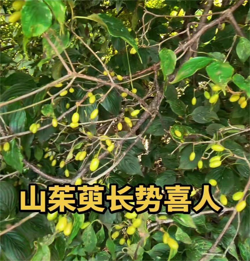 微信图片_20260808161812