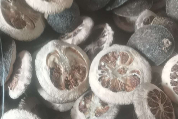 pic1