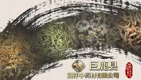 微信图片_20260310153337_2586_41