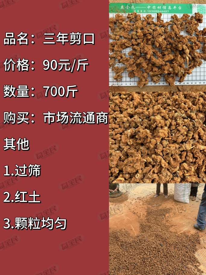 ef26ba55-3092-4f55-bd02-1c3677a2a96e