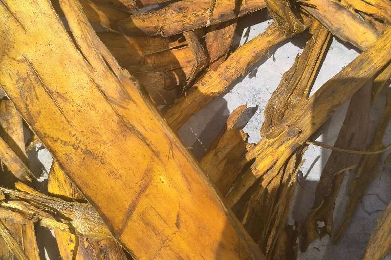 pic1
