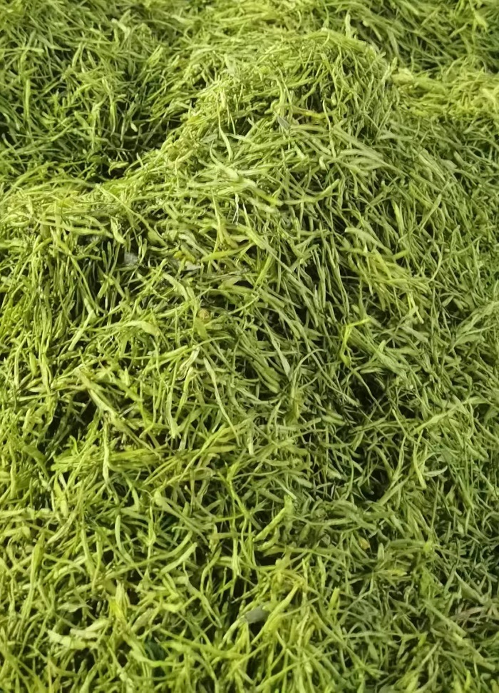 微信图片_20250704214113