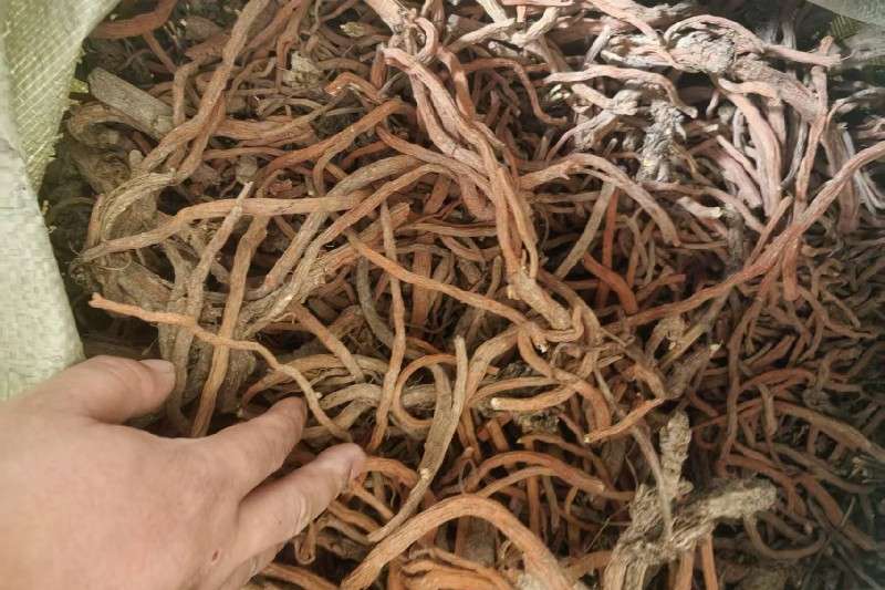 pic1