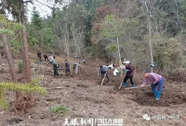 贵州日报