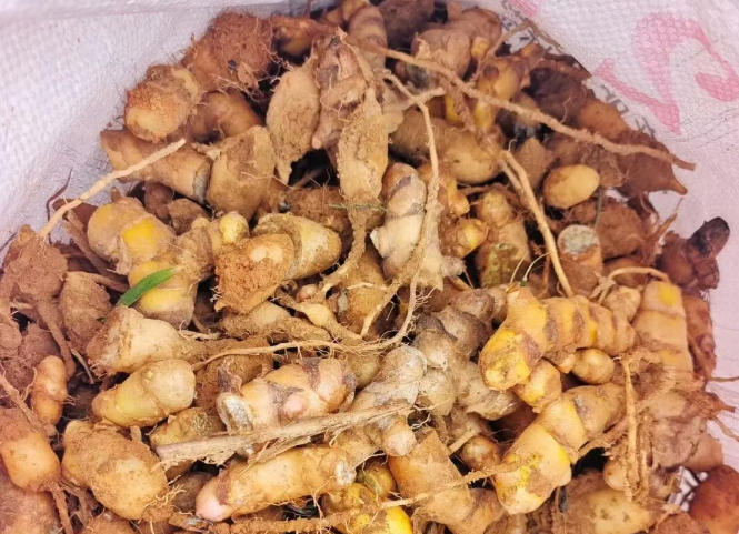 wechat_2026-02-12_100116_793