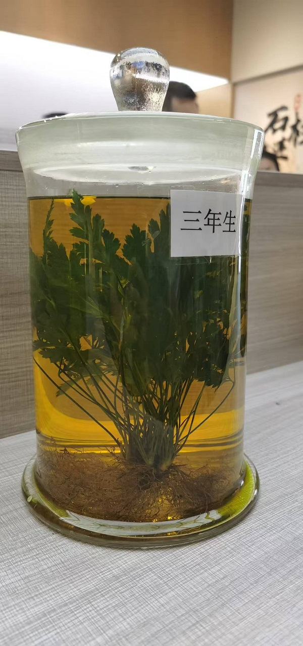 微信图片_20260914135908_268_137