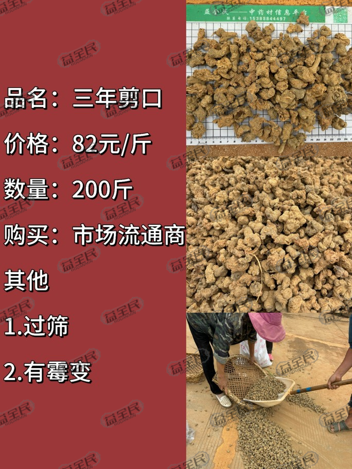 5598a47a-a3e2-4b56-a83e-7501f9d17389