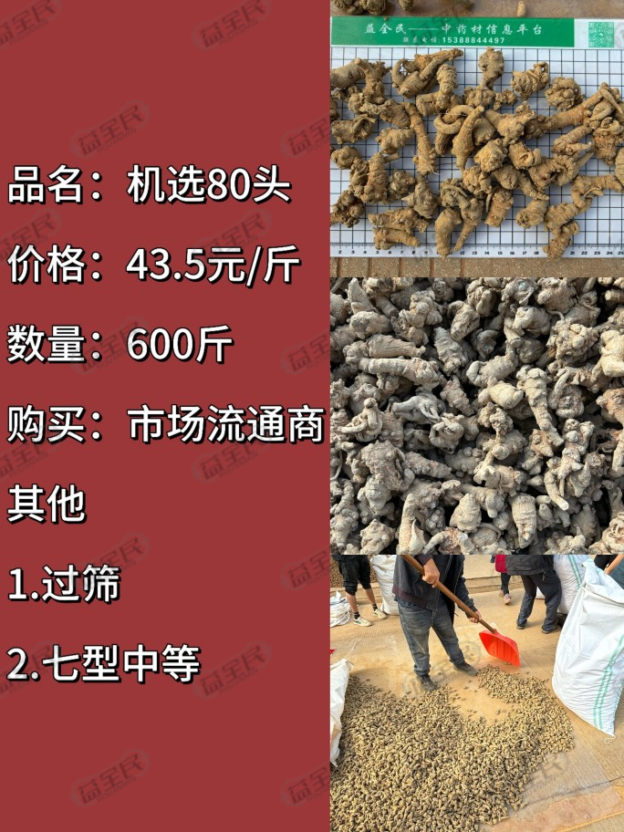 aa75ce99-424b-4db1-9b06-ce6cc6816540