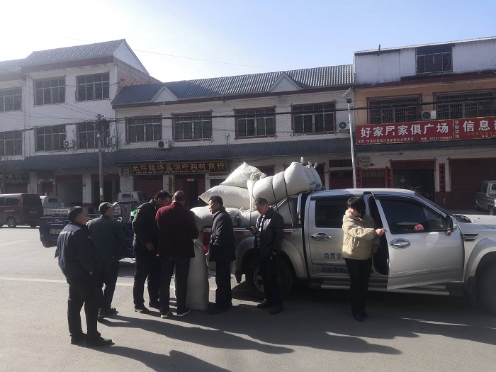 正在收购装车的山茱萸1