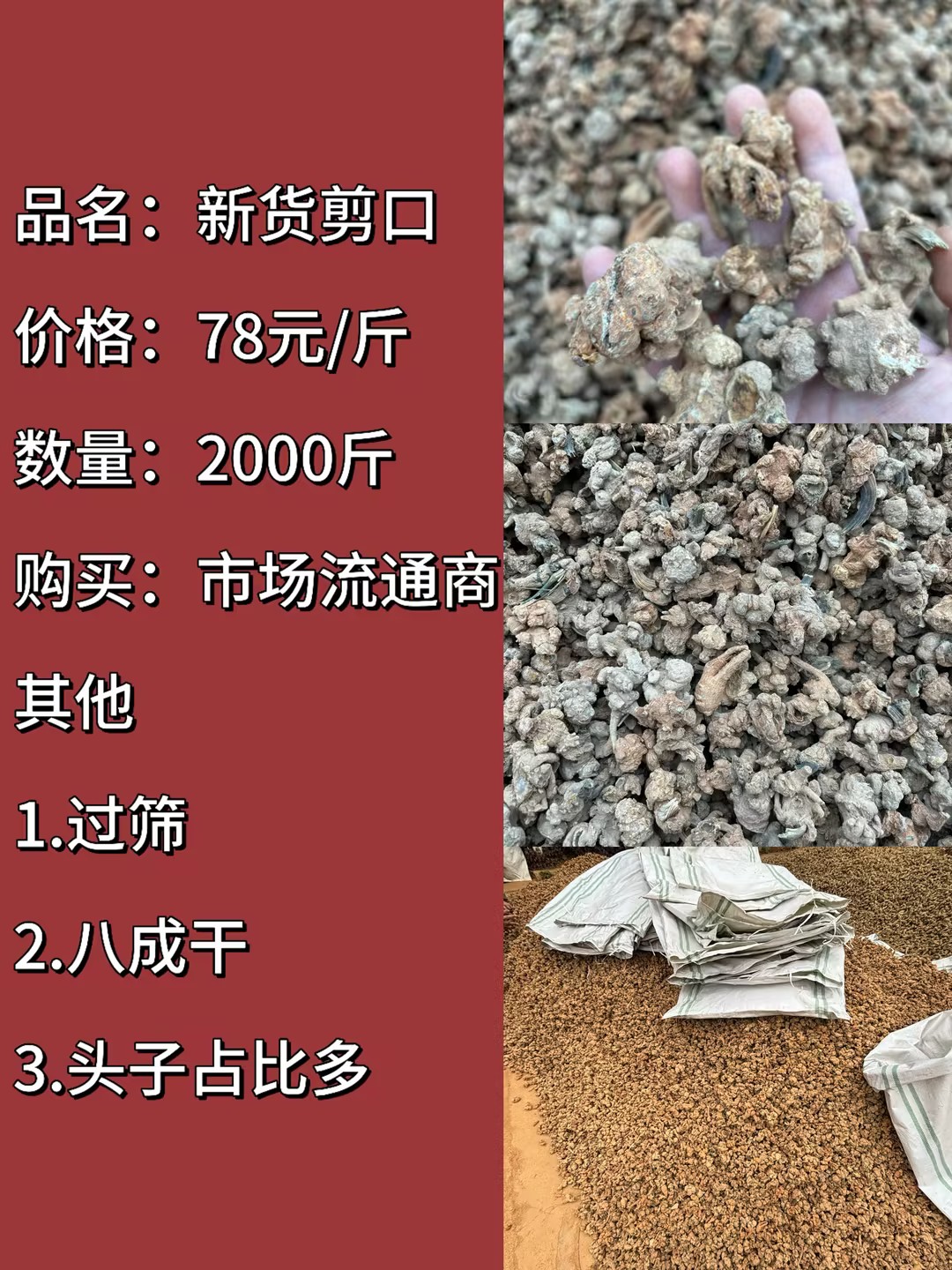 9b51becf-fa9c-4aea-a1af-0a5e0c4b5a7d