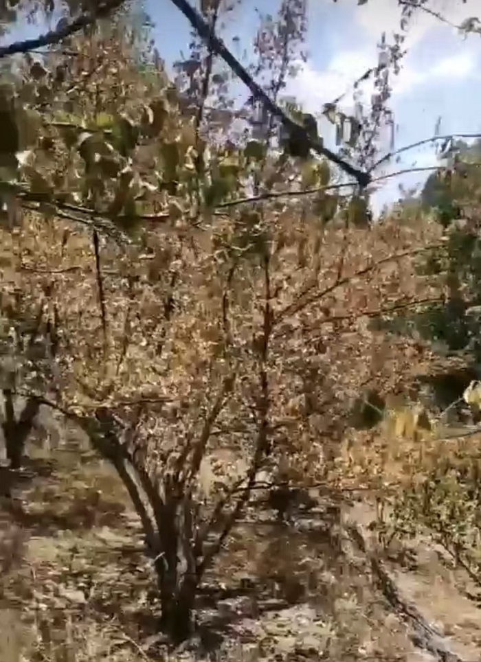 微信图片_20260109112821_263_991