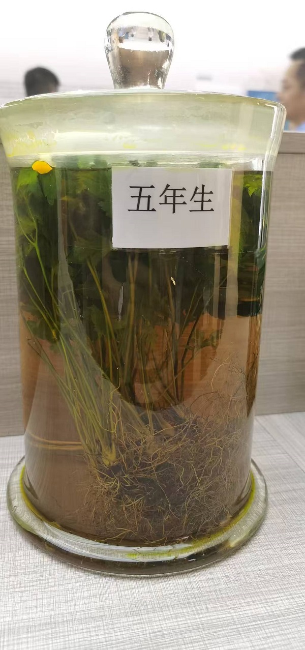 微信图片_20260914135912_269_137