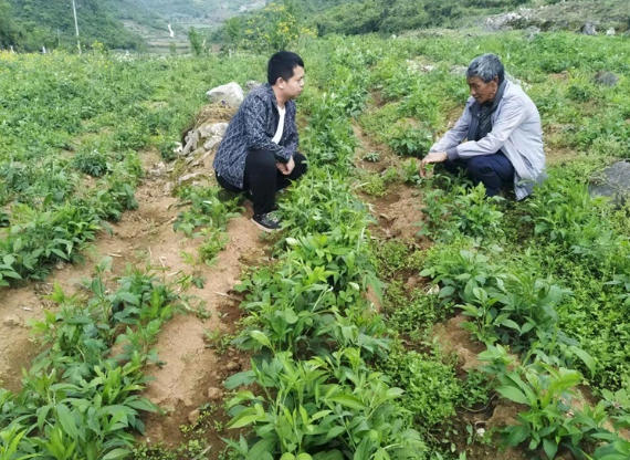 wechat_2026-06-10_152507_745