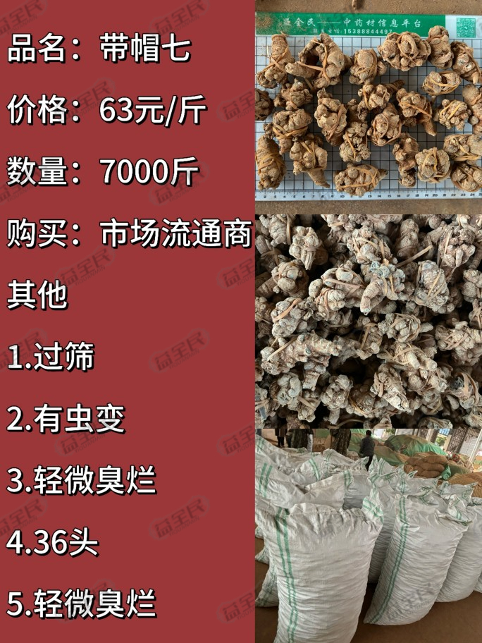 dc6b3e9d-6c7b-448a-8b25-2503a087ba73