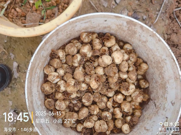 微信图片_20251218154338_787_172