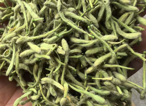 wechat_2026-04-13_164722_297