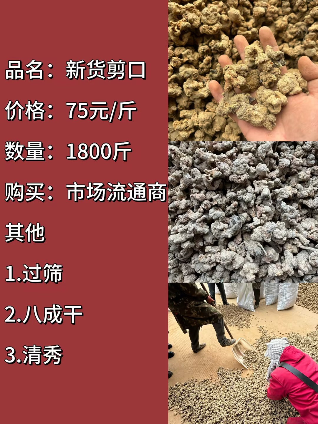 6a888f17-5b5b-4059-be2a-3e4e3aefe009