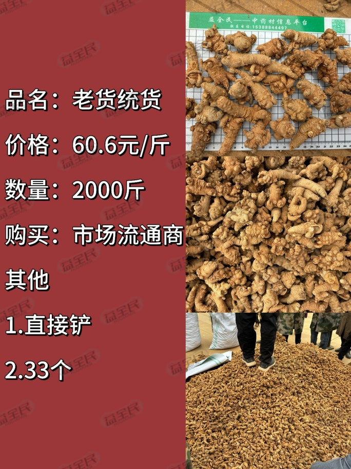 462f2446-0f7c-4d98-bb9c-dd15b99d7bd6