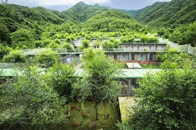 wechat_2026-08-03_112824_351