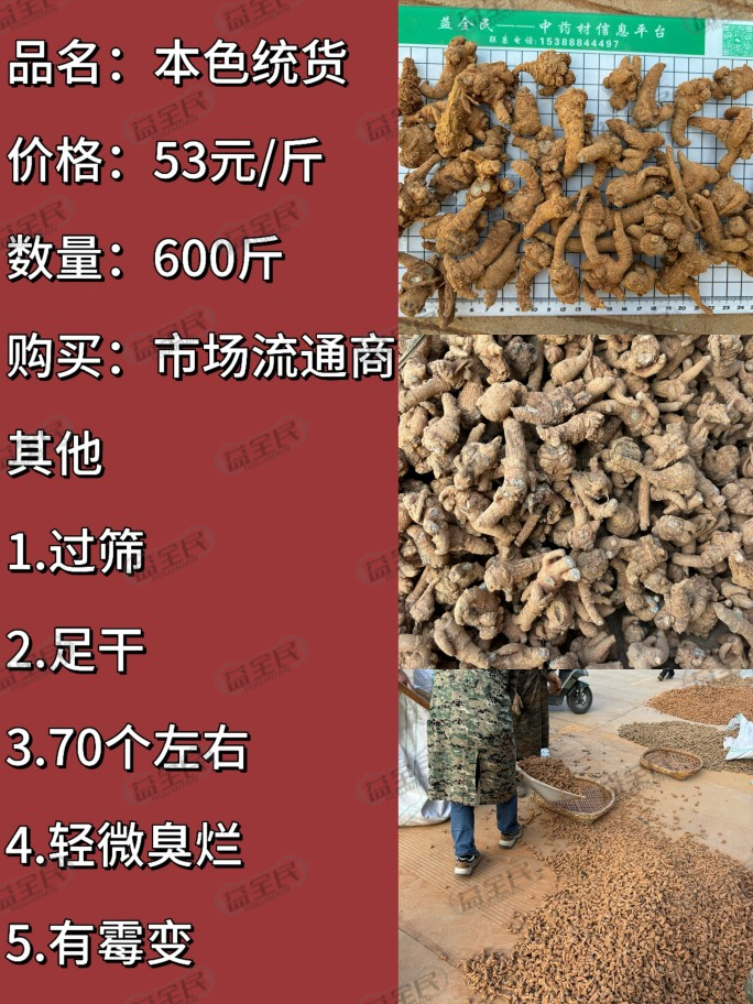 21e7fae2-2a48-46cf-ae69-f3ada54d4e69